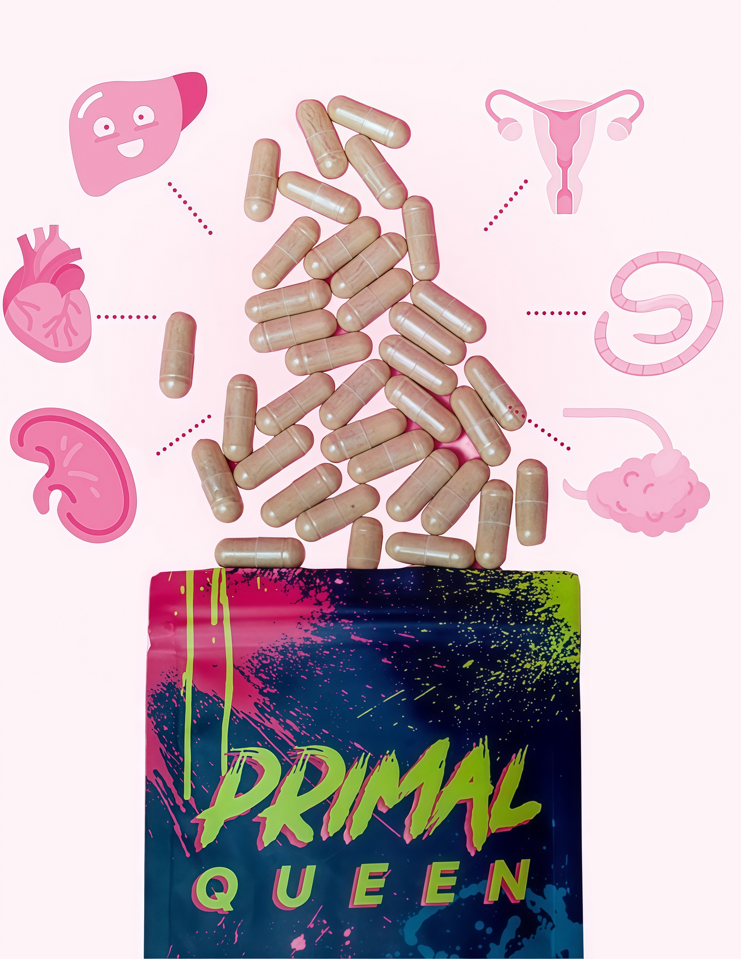 Female-Optimized Beef Organ Superfood Supplement (Beef Liver, Kidney, Heart, & 3 More) - 100% Grass Fed, Pasture Raised Cattle - Balance Hormones, Energy, & More for Women